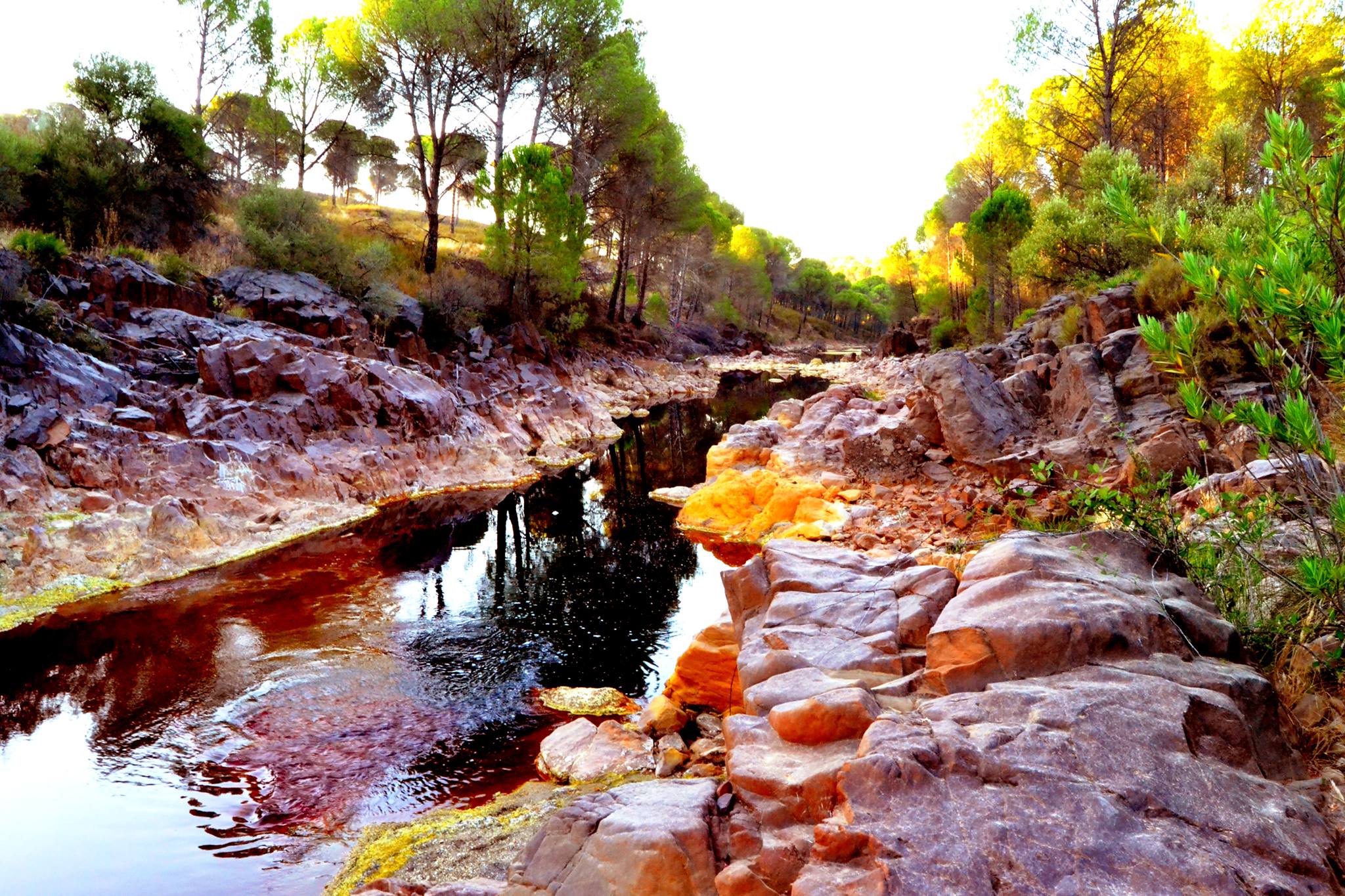 Río Tinto